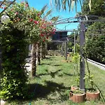 Hotel House Garden Park 2*