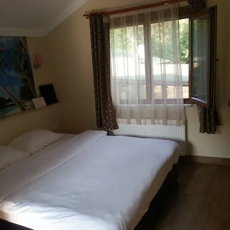 Hotel House Garden Park 2*